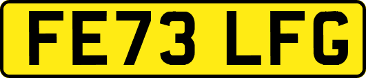 FE73LFG