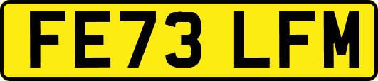 FE73LFM