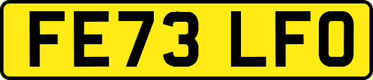 FE73LFO