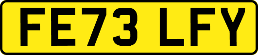 FE73LFY