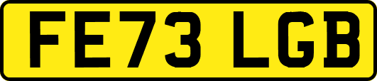 FE73LGB