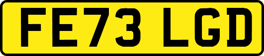 FE73LGD