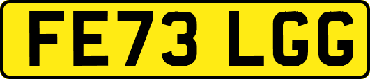 FE73LGG
