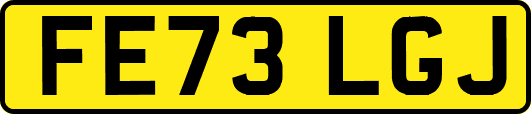 FE73LGJ