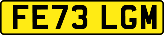 FE73LGM