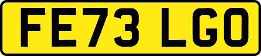 FE73LGO