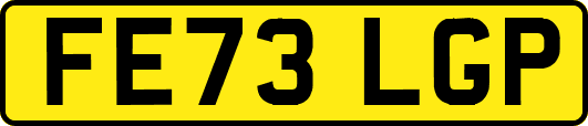 FE73LGP