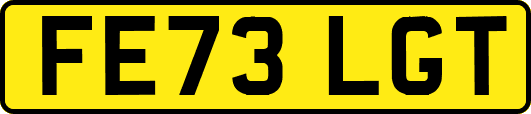 FE73LGT