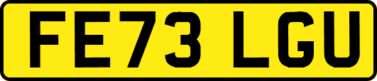 FE73LGU