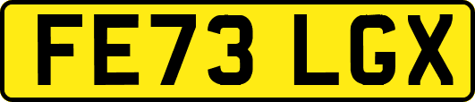 FE73LGX