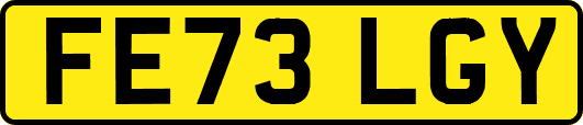 FE73LGY