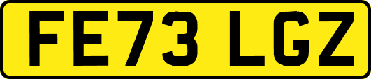 FE73LGZ