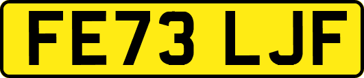 FE73LJF