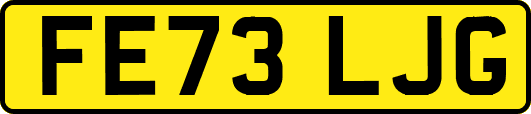 FE73LJG
