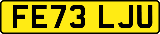 FE73LJU