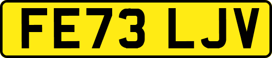 FE73LJV