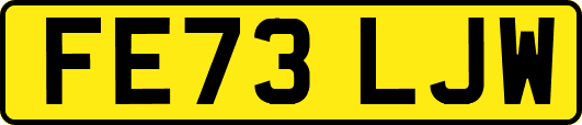 FE73LJW