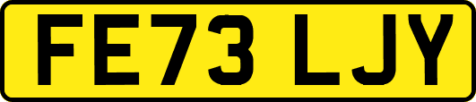 FE73LJY