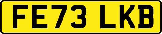 FE73LKB
