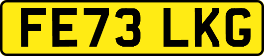 FE73LKG