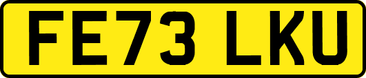 FE73LKU