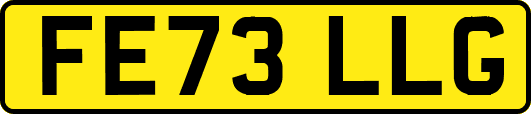 FE73LLG