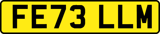 FE73LLM