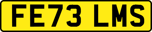 FE73LMS