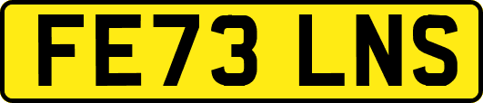 FE73LNS