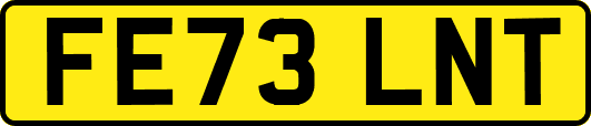 FE73LNT