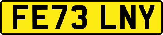 FE73LNY