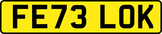 FE73LOK