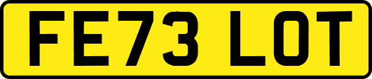 FE73LOT