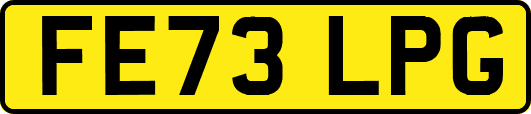 FE73LPG