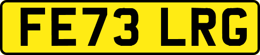 FE73LRG