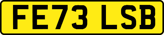 FE73LSB