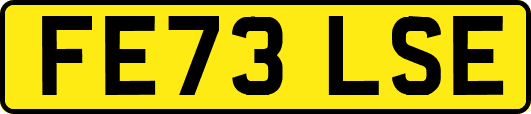 FE73LSE
