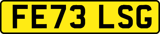 FE73LSG