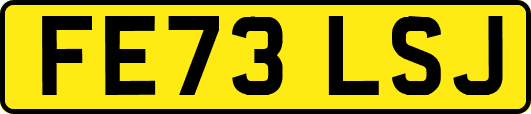 FE73LSJ