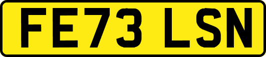 FE73LSN