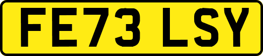 FE73LSY
