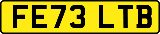FE73LTB