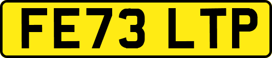 FE73LTP