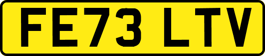FE73LTV