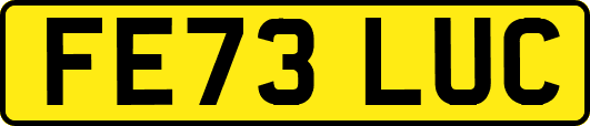 FE73LUC