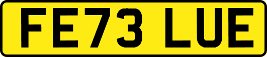 FE73LUE