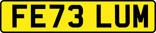 FE73LUM