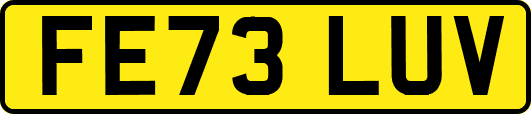 FE73LUV