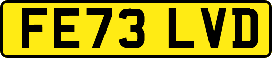 FE73LVD