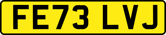FE73LVJ